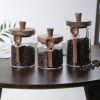 3 Pcs Glass Coffee Jars with Spoons, Candy Jars, Biscuit Jars, Storage Jars, Tea Jars, Snack Jars, Seasoning Jars, Salt Jars, Pepper Jars